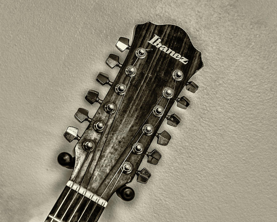 Ibanez 12 String Headstock Photograph by Bill Cannon