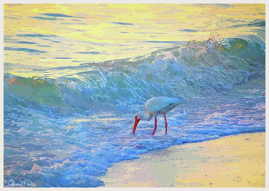 Ibis in Gold and Purple Surf 2 Photograph by Susan Molnar