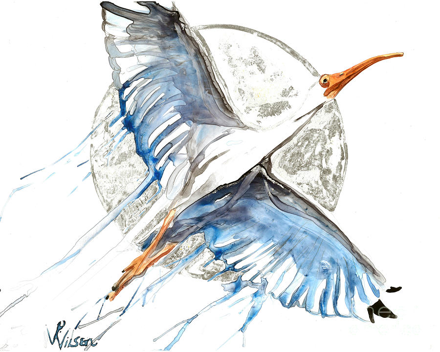 Bird Painting - Ibis Moon Study by D Renee Wilson