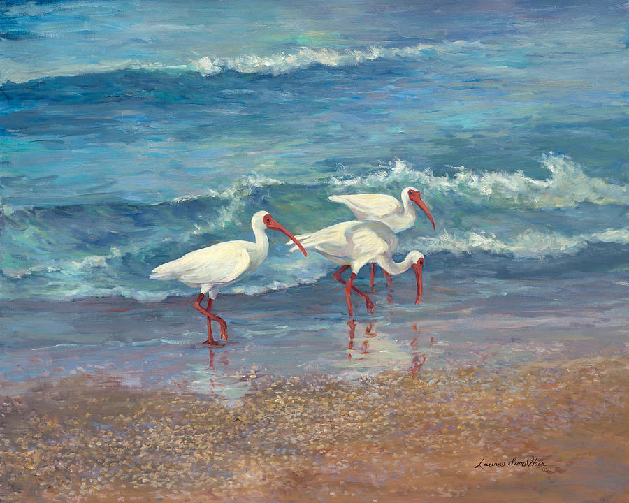 Ibis Painting - Ibis Trio - Ibis on the beach by Laurie Snow Hein