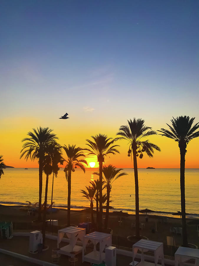 Ibiza Sunrise Photograph by Benjamin Hinz - Fine Art America