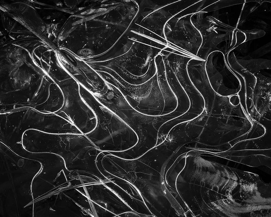 Ice Abstraction III BW Photograph by David Gordon