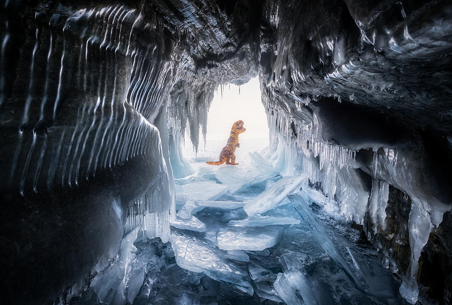 Ice Age Photograph by Vasily Iakovlev