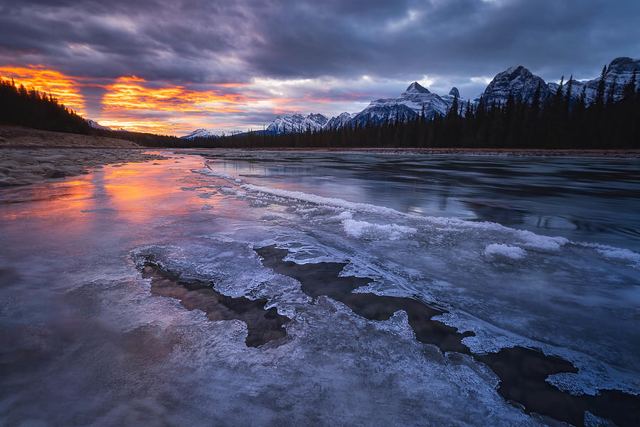 Banff National Park Photograph - Ice Athabasca River by Yongnan Li ?????