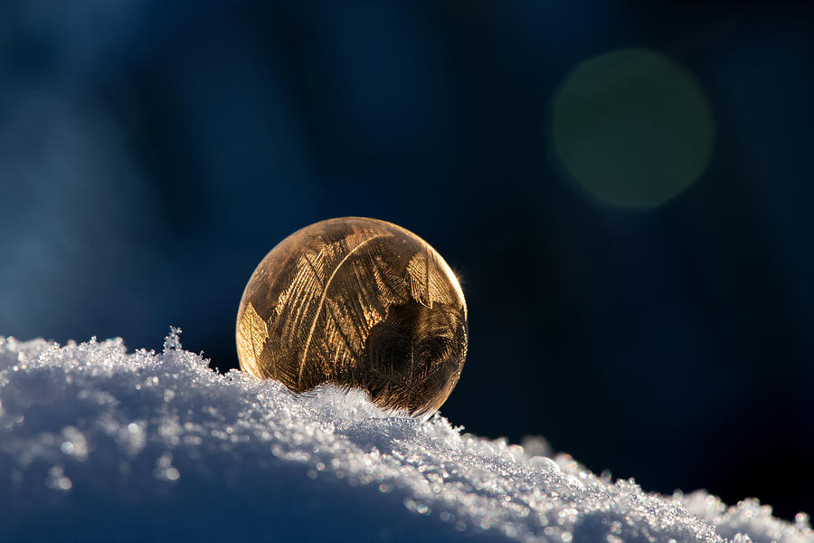 Nature Photograph - Ice Bubble by Ivy Deng