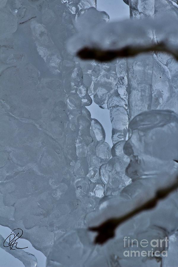Ice Bubbles Photograph by Ann E Robson