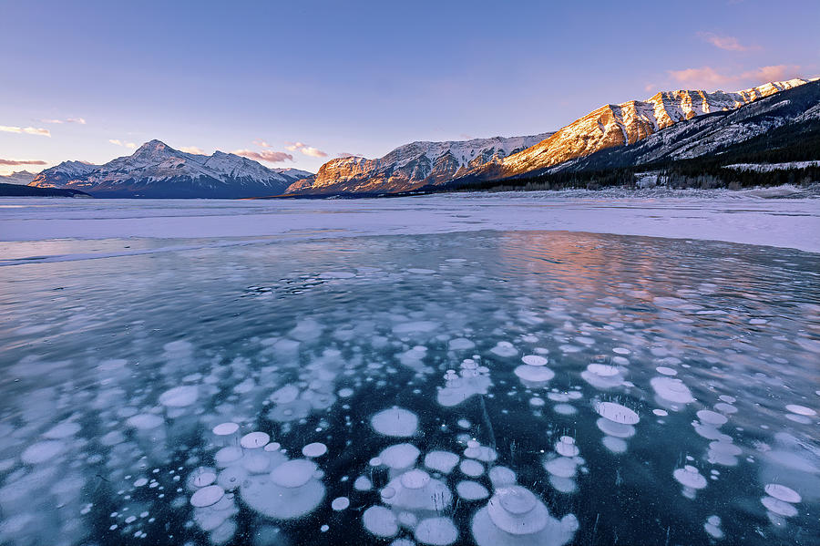 Ice Bubbles at Abraham Lake Photograph by Jack Bell