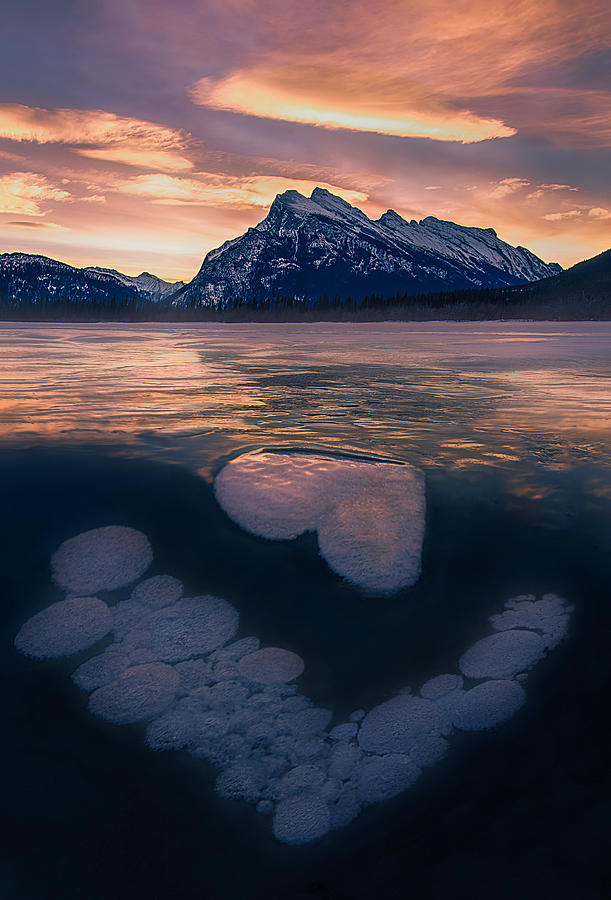 Mountain Photograph - Ice Bubbles In Vermilion Lakes by Leah Xu