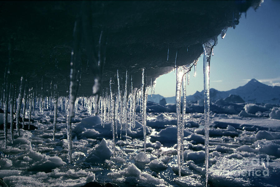 Ice Cliffs Photograph by British Antarctic Survey/science Photo Library