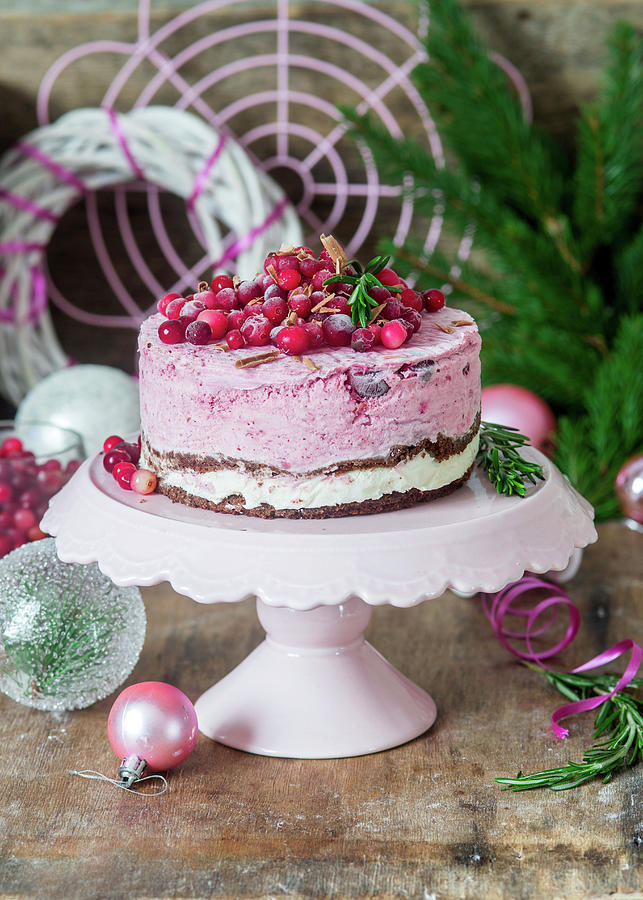 Ice Cream Cake With Cranberries christmas Photograph by Irina Meliukh