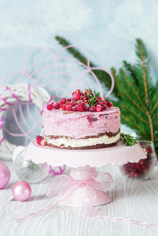 Ice Cream Cake With Cranberries Photograph by Irina Meliukh