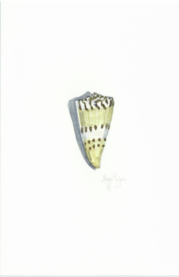 Ice Cream Cone Shell Painting by Maggii Sarfaty