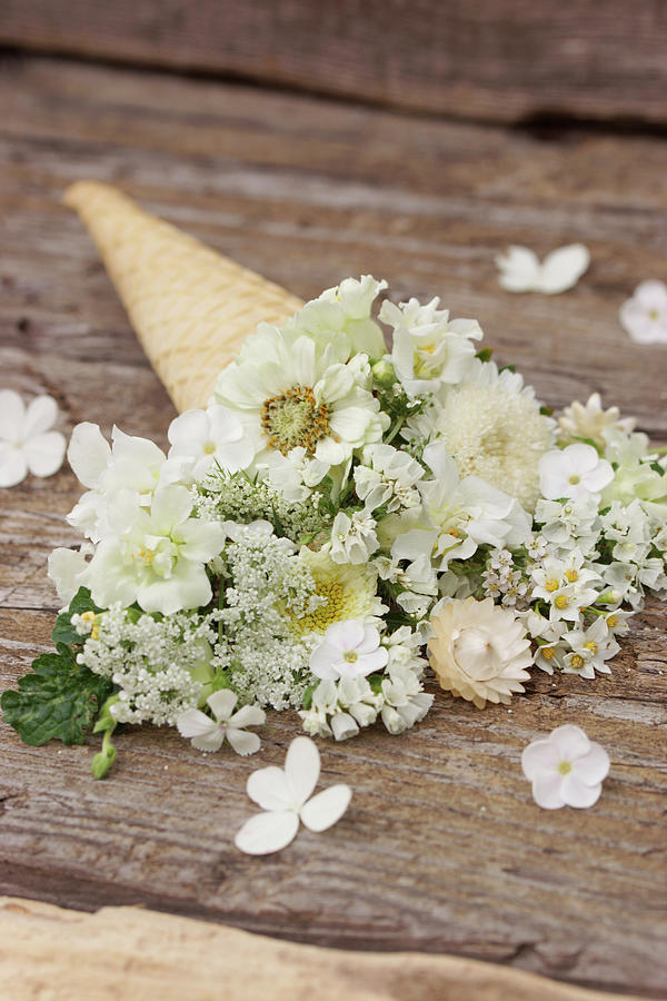 Ice Cream Cone With White Flowers Photograph by Angelica Linnhoff