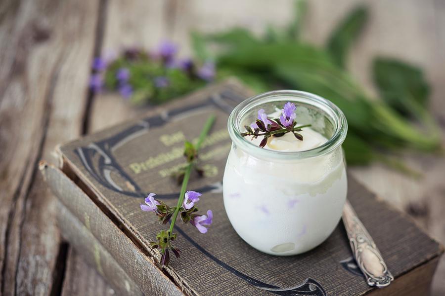 Ice Cream Parfait Made From Sage Flowers In A Glass On An Old Gardening Book Photograph by Jan Wischnewski