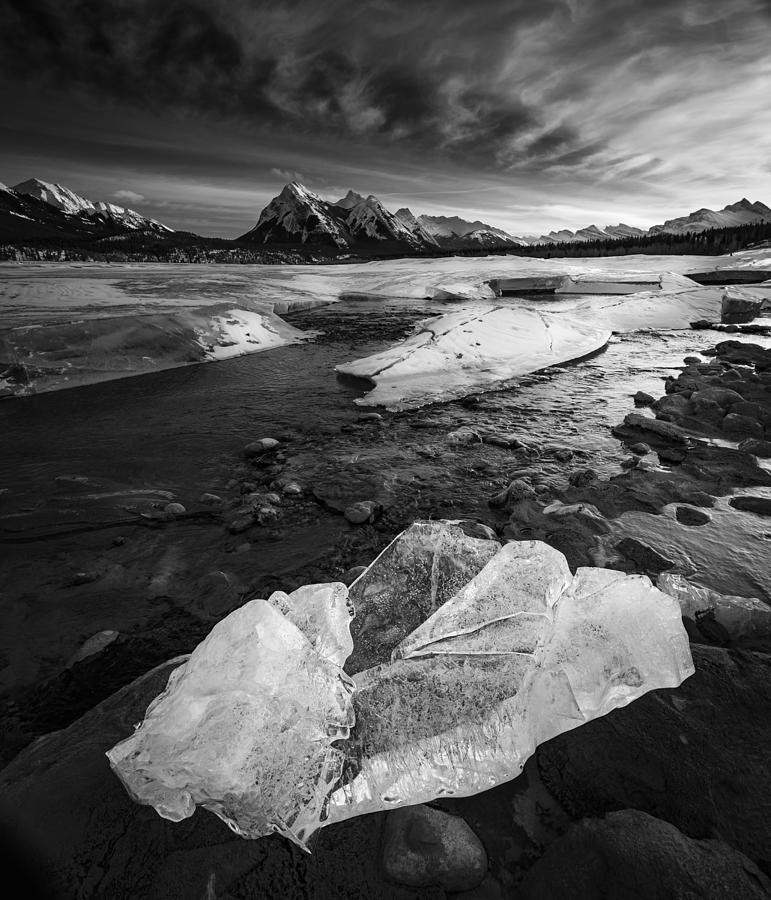 Ice Creek Photograph by Bing Li