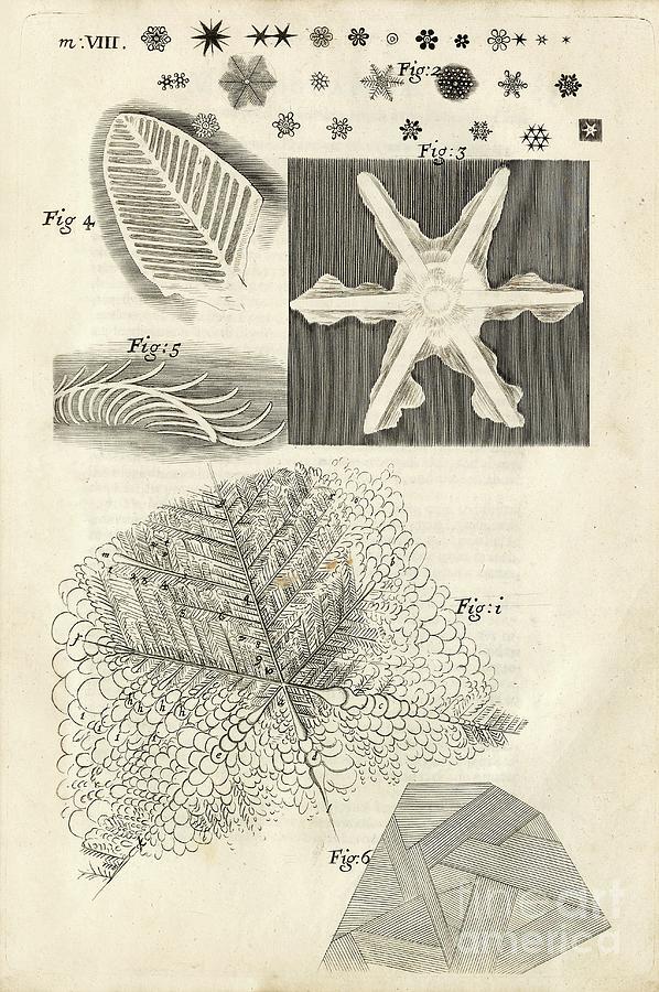 Ice Crystals In Hookes Micrographia (1665) Photograph by Science Photo Library Ice Crystals In Hookes Micrographia (1665) Photograph by Science Photo Library