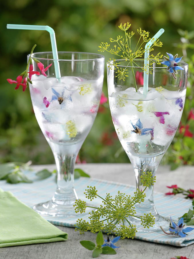 Ice Cubes With Frozen Herb Blossoms Photograph by Friedrich Strauss
