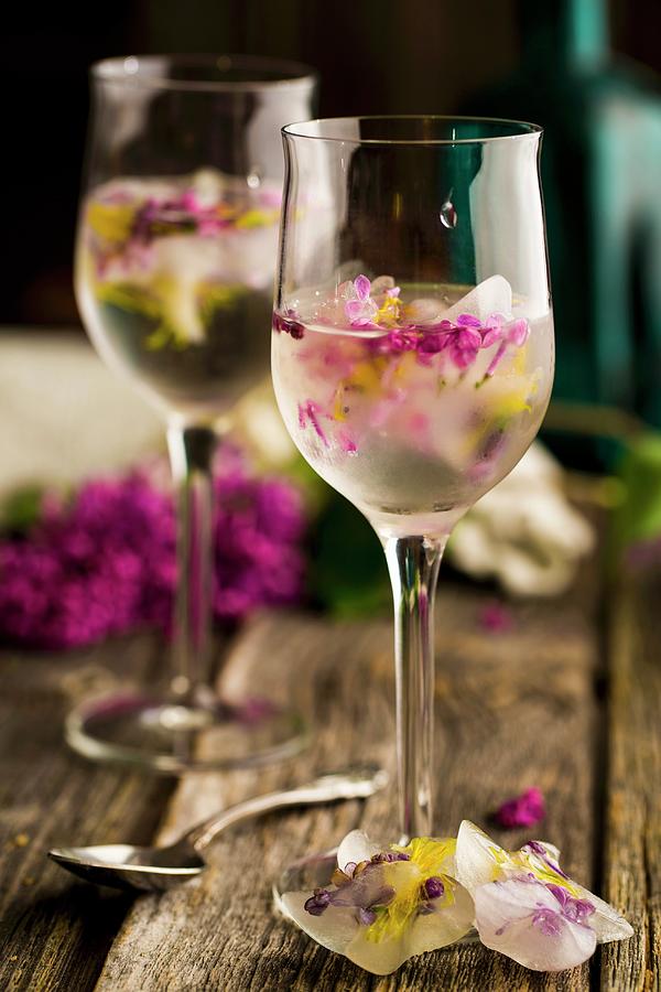 Ice Cubes With Lilac Flowers And Dandelion Flowers In Drinks In Stemmed Glasses Photograph by Sandra Krimshandl-tauscher