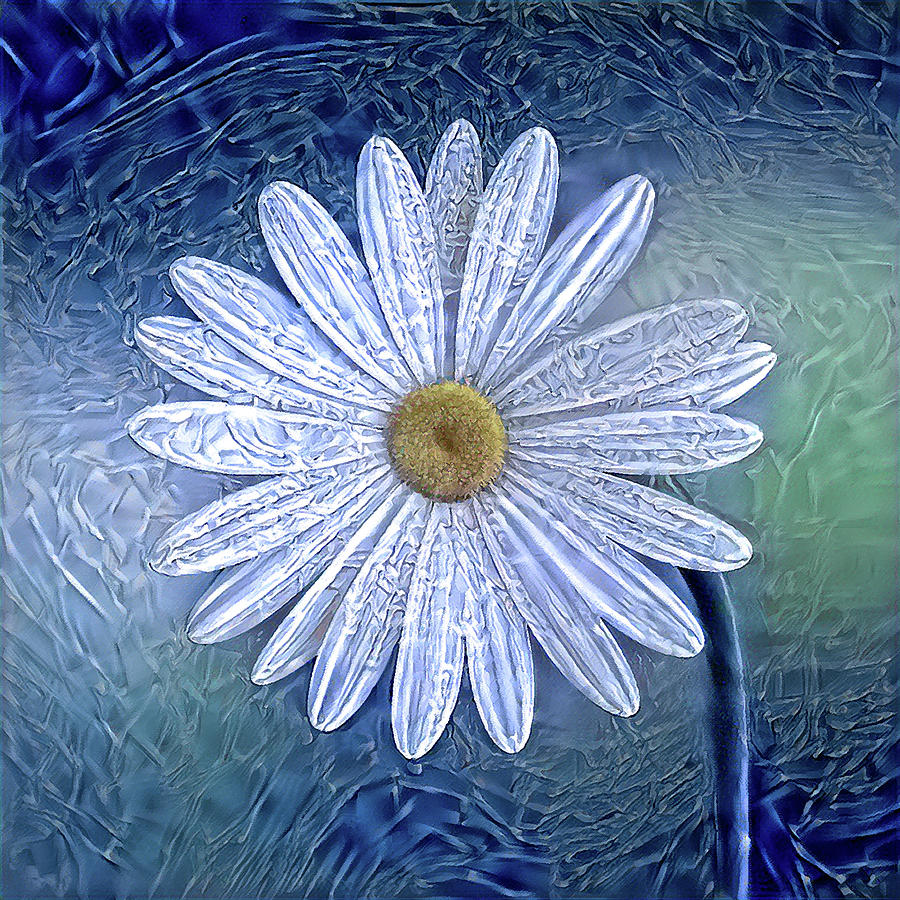 Ice Daisy Flower Digital Art by Alex Mir