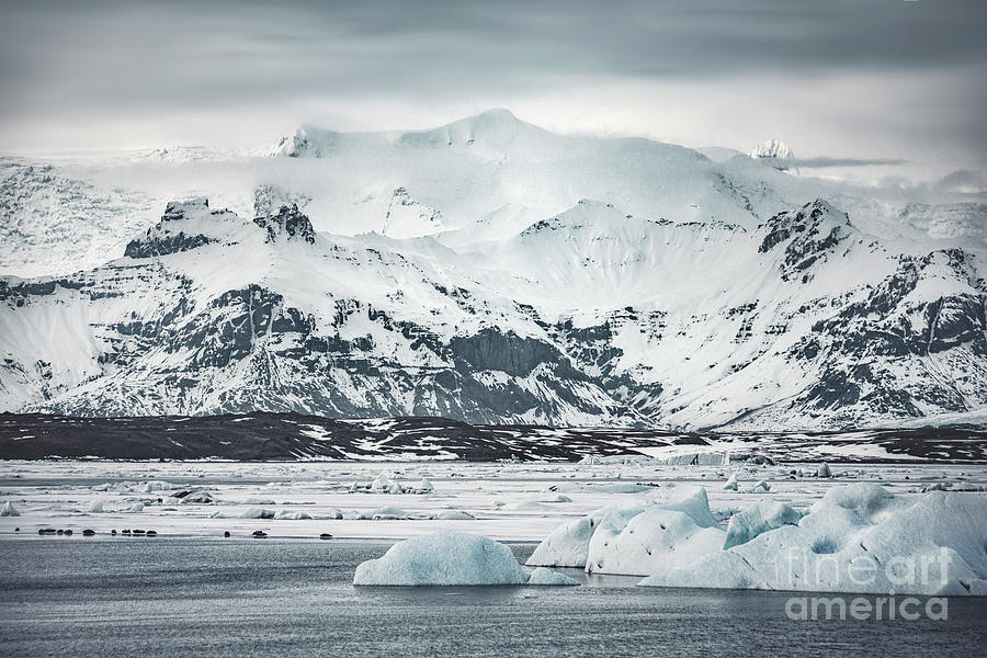 Winter Photograph - Ice Encounters by Evelina Kremsdorf
