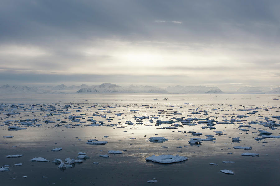 Ice Floating In Isfjorden Photograph by Håkon Kjøllmoen Photography