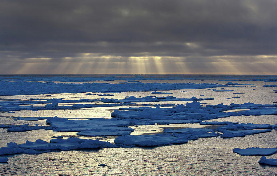 Ice Floe In The Southern Ocean, 180 Photograph by Cultura Rf/brett Phibbs