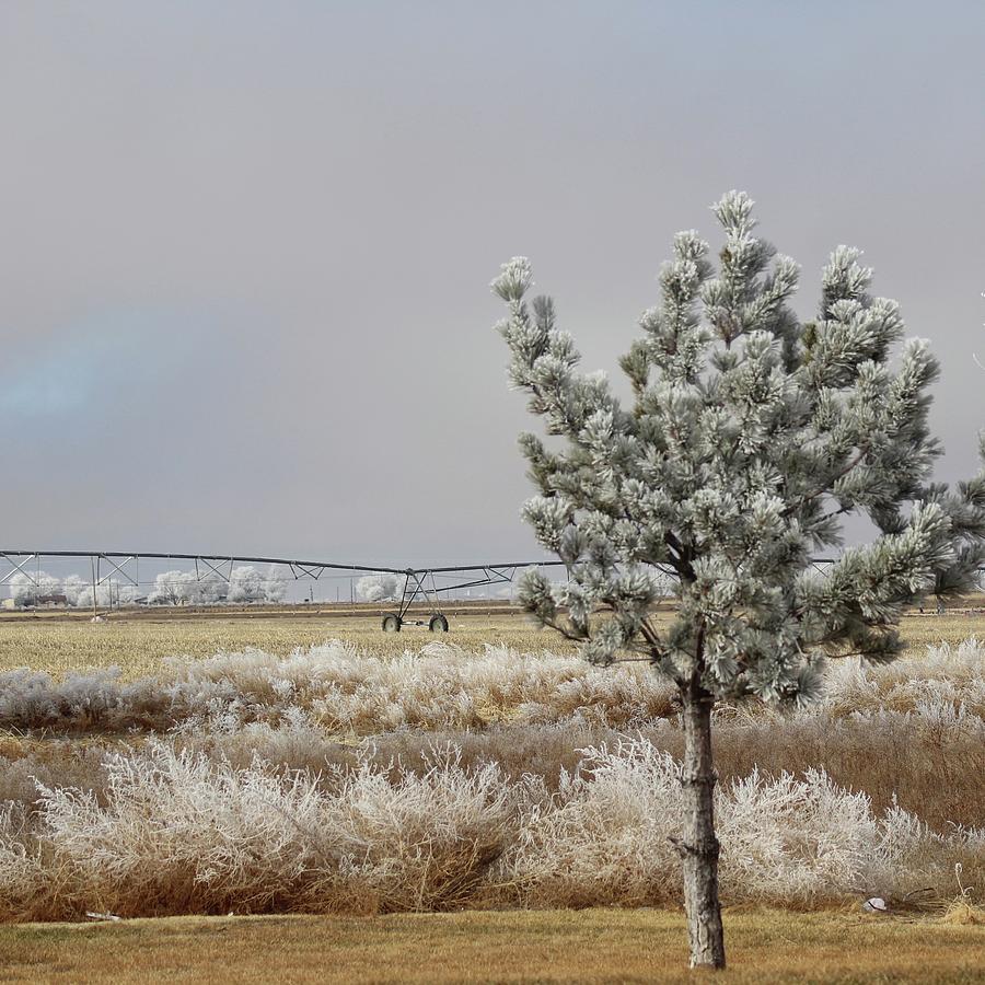 Ice Fog Over La Junta Colorado Farm Photograph by M E