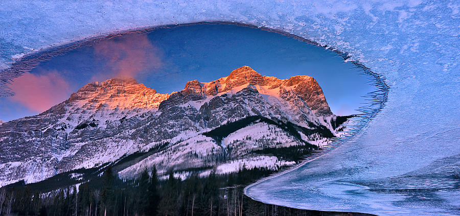 Winter Photograph - Ice Frame by Mei Xu