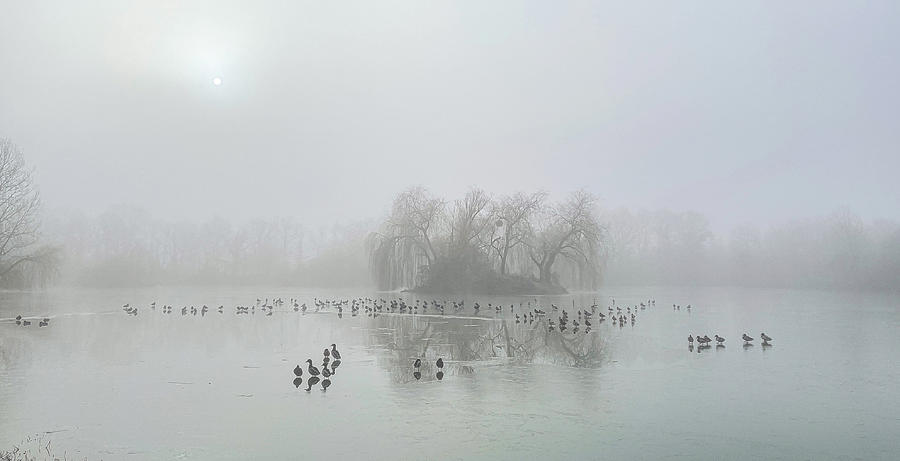 Ice Lake On A Foggy Morning Photograph by Debbie Smith