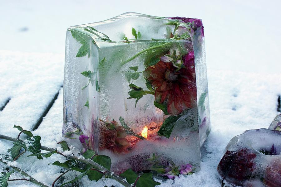 Ice Lantern Containing Frozen Flowers On Snowy Ground Photograph by Angelica Linnhoff
