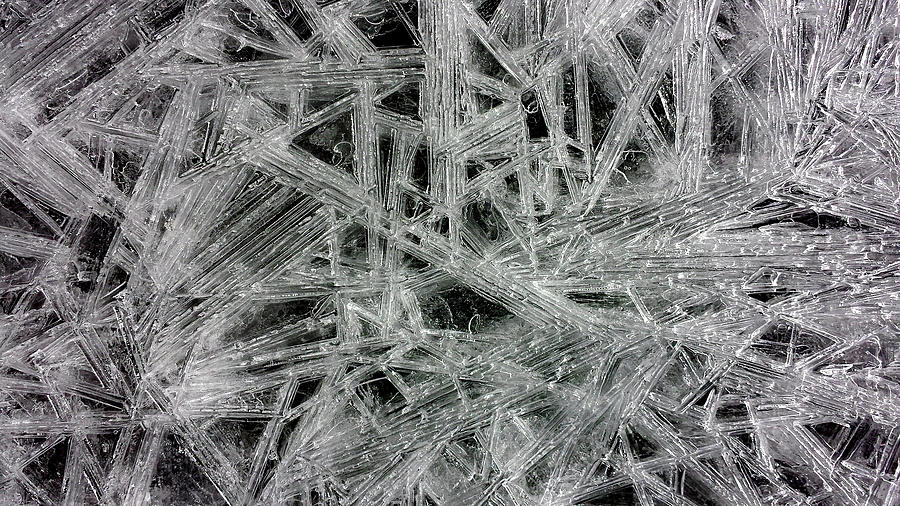 Ice Lattice - 1 Photograph by Thomas Magnuson - Pixels