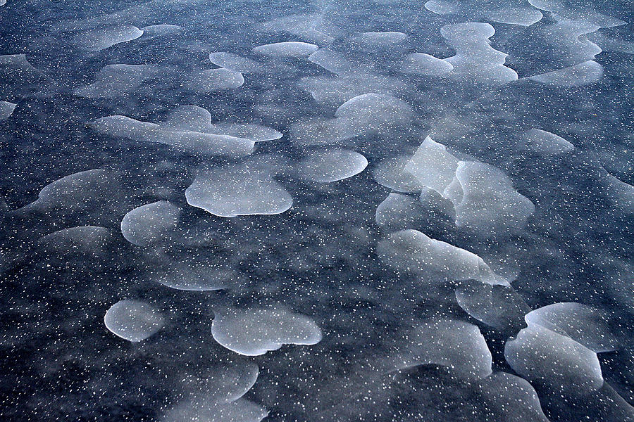 Ice Pattern Photograph by Bror Johansson