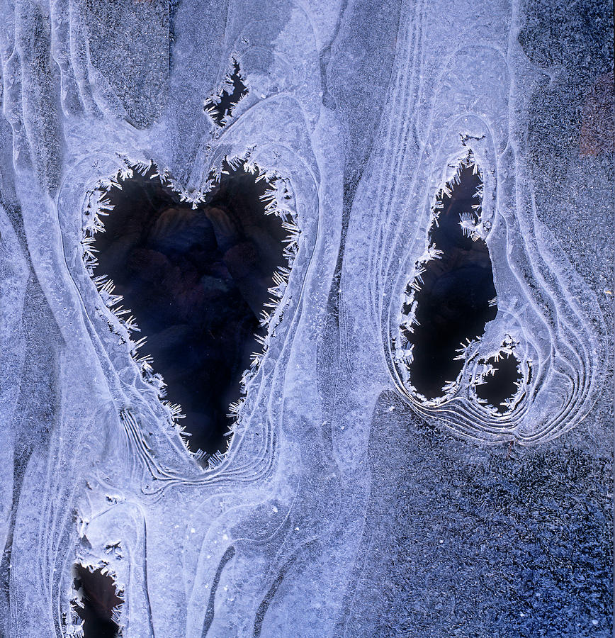 Ice Pattern Of A Frozen Stream Digital Art by Robert Maier