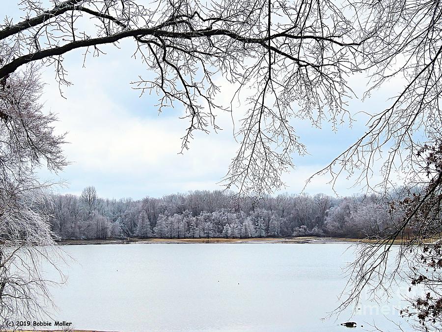 Ice Storm On The Lake Photograph