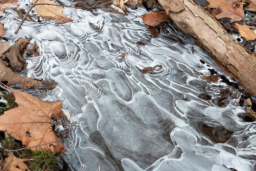 Ice Swirls Photograph by Jeff Severson