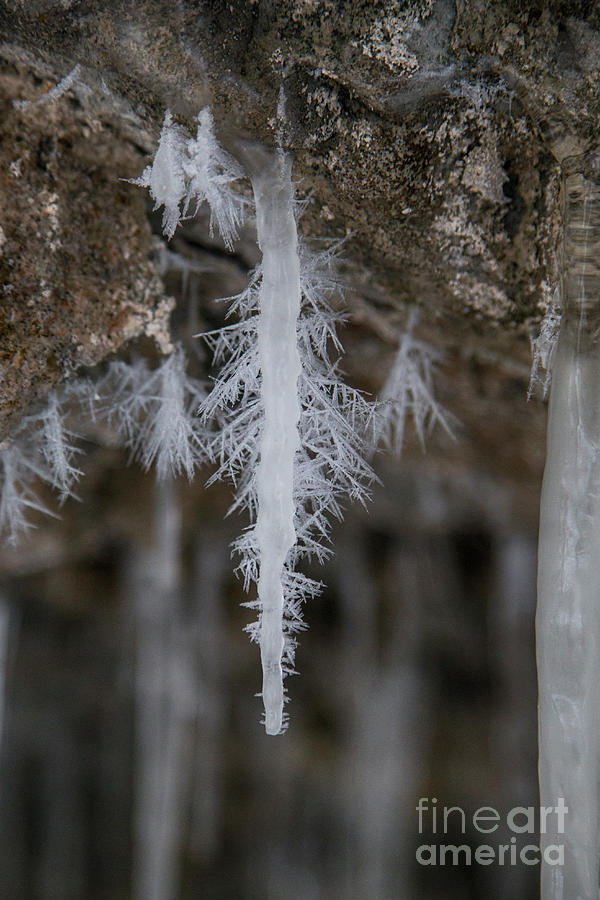 Ice tree by Fabian Roessler Ice tree by Fabian Roessler