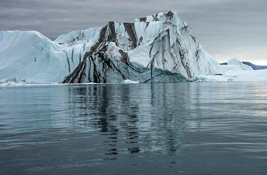 Iceberg #2 Photograph by Minnie Gallman