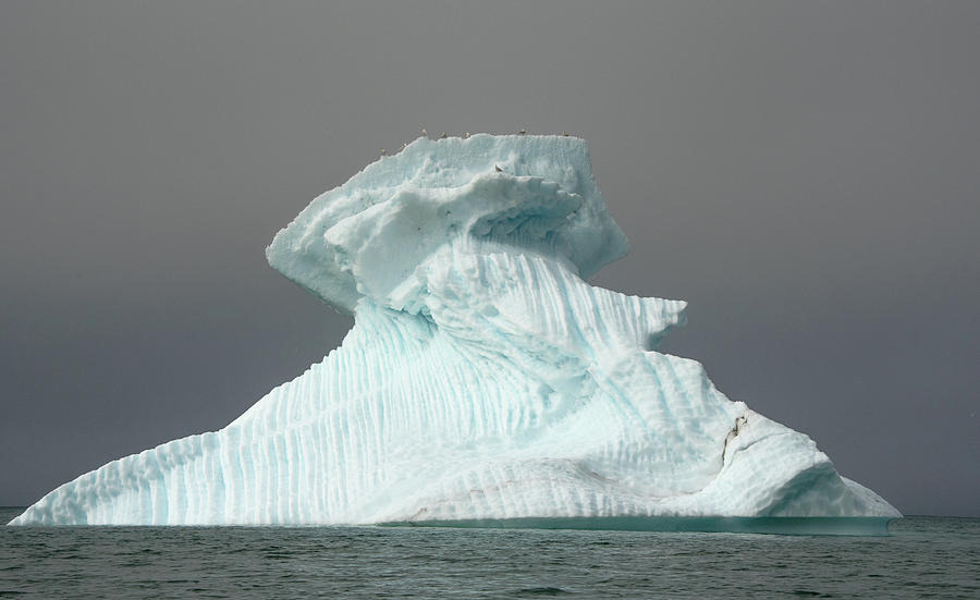 Iceberg #3 Photograph by Minnie Gallman