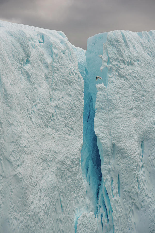 Iceberg #6 Photograph by Minnie Gallman