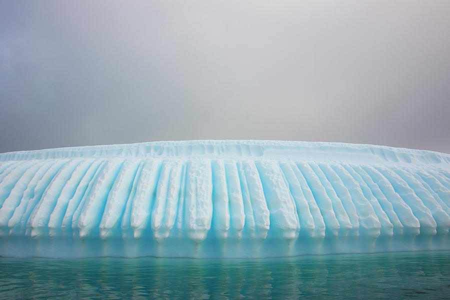 Iceberg Along The Antarctic Peninsula Photograph by Mint Images - David Schultz