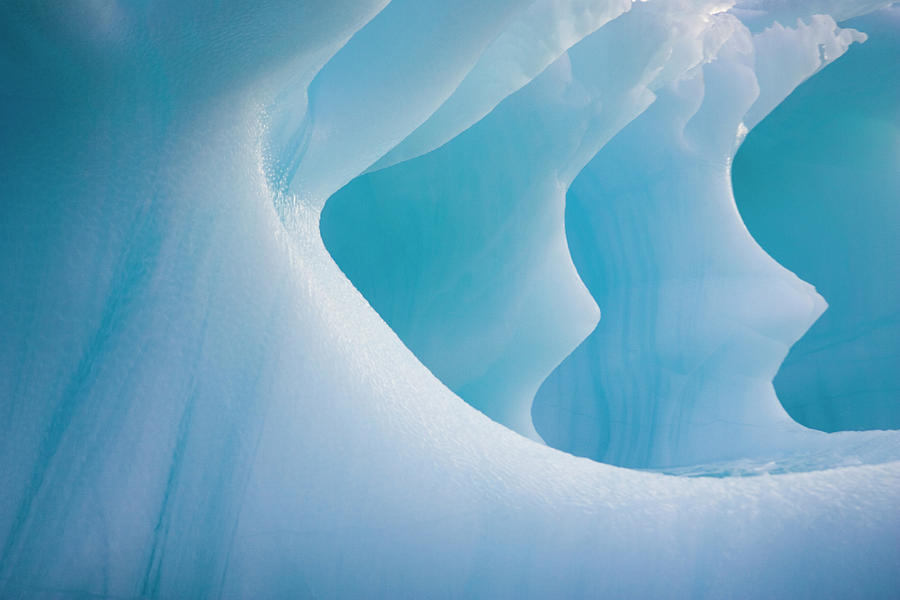Iceberg Photograph by Andrew Peacock