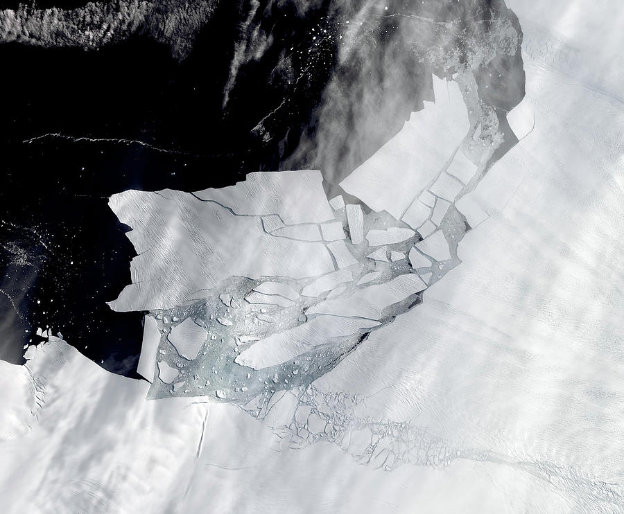 Amundsen Sea Photograph - Iceberg Calving, Pine Island Glacier by Science Source