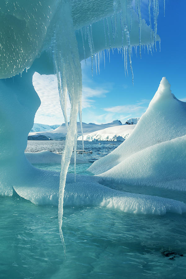 Iceberg, Wilhelmina Bay, Antarctica Photograph by Paul Souders