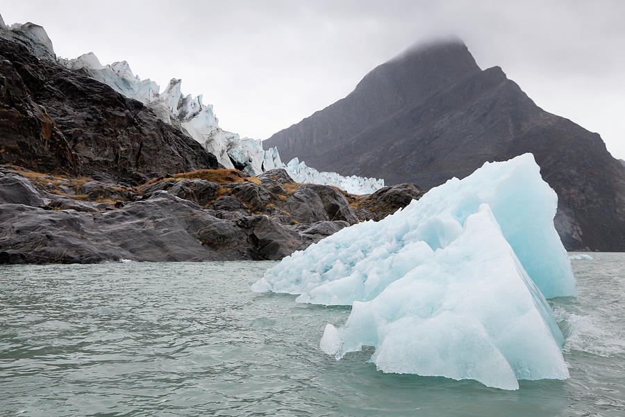 Icebergs And Glacier Photograph by Mary Ellen Mcquay / Design Pics