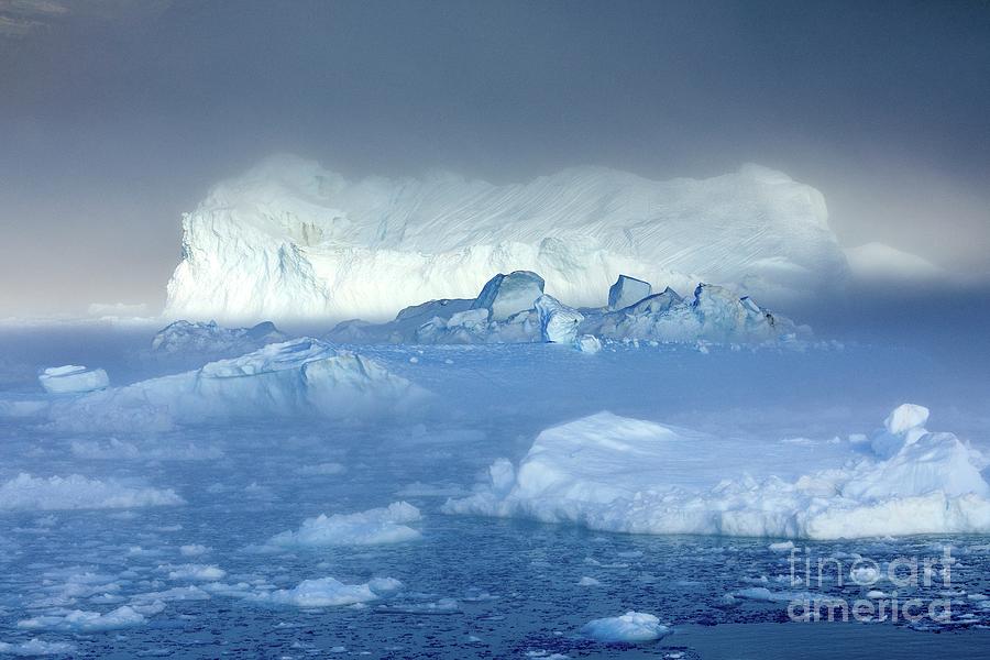 Iceberg Photograph - Icebergs Filling Nordvestfjord by Dr Juerg Alean/science Photo Library