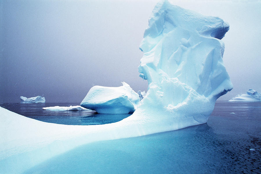 Icebergs Floating On Antarctic Peninsula Photograph by Alexander Nicholson