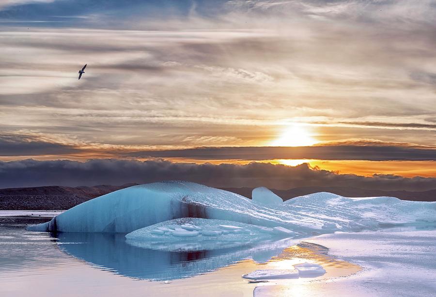 Icebergs In Lagoon, Iceland Digital Art by Bruno Cossa