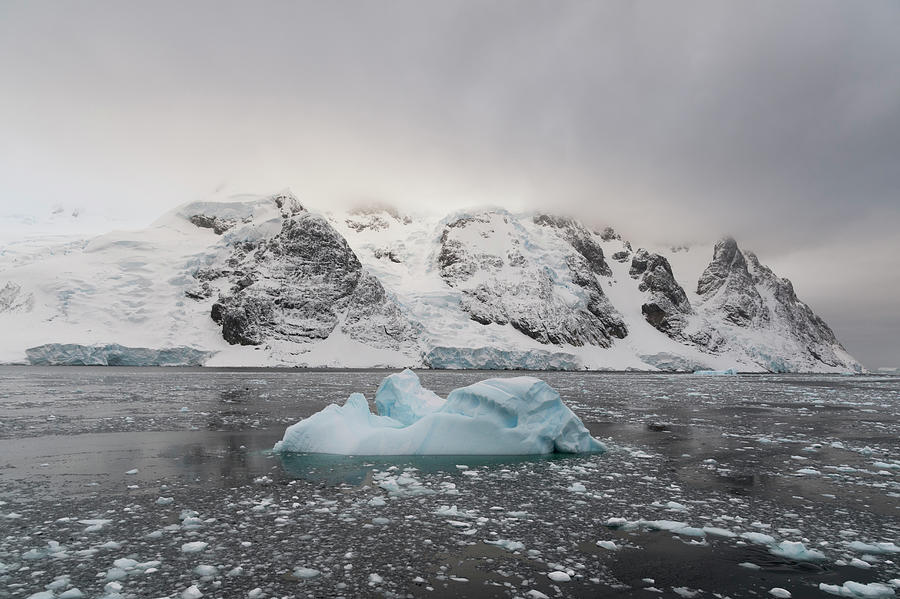 Icebergs In Lemaire Channel, Antarctic Digital Art by Delta Images ...