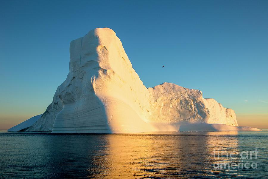 Landscape Photograph - Icebergs by Photostock-israel/science Photo Library