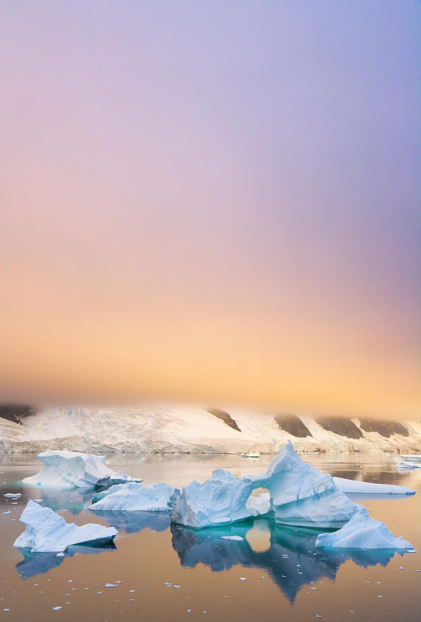 Icebergs, Sunset, Antarctic Peninsula Photograph by Eastcott Momatiuk